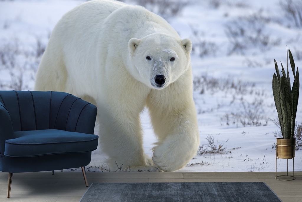 Snowy Polar Bear Wall Mural Wallpaper