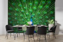 Beautiful Peacock Portrait Wall Mural Wallpaper