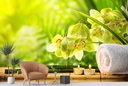 Green Orchids Spa Wall Mural Wallpaper