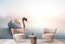 Swan Elegance Wall Mural Wallpaper