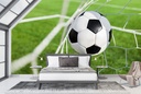 Back Of The Net Football Wall Mural Wallpaper