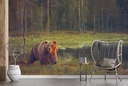 Brown Bear Woodland Wall Mural Wallpaper - Mod1