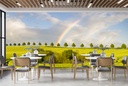 Green Countryside Rainbow Wall Mural Wallpaper