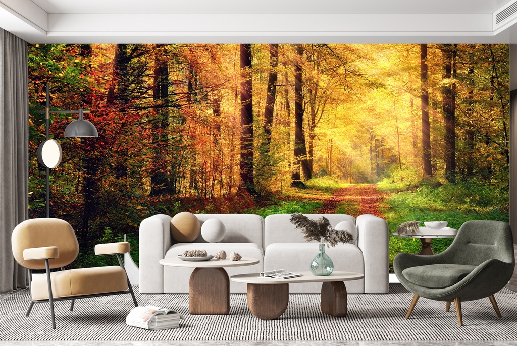 Autumn Forest Sunlight Wall Mural Wallpaper
