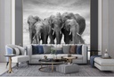 Elephant Herd Wall Mural Wallpaper