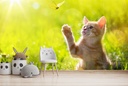 Kitten Meadow Wall Mural Wallpaper