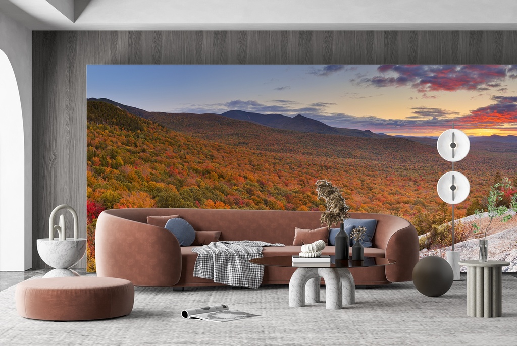 New Hampshire, USA Forest Wall Mural Wallpaper