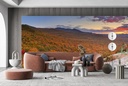 New Hampshire, USA Forest Wall Mural Wallpaper
