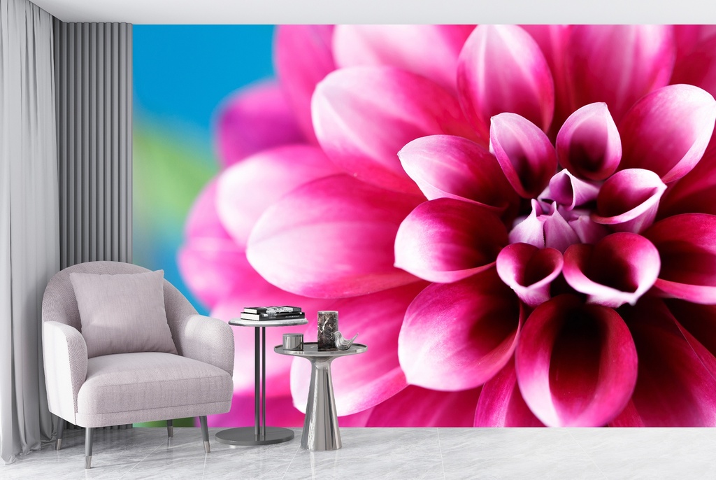 Pink Dahlia Flower Wall Mural Wallpaper