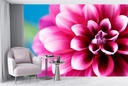 Pink Dahlia Flower Wall Mural Wallpaper