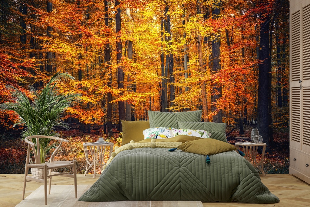 Autumn Forest Path Wall Mural Wallpaper