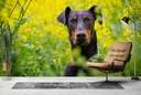 Dobermann Dog Wall Mural Wallpaper