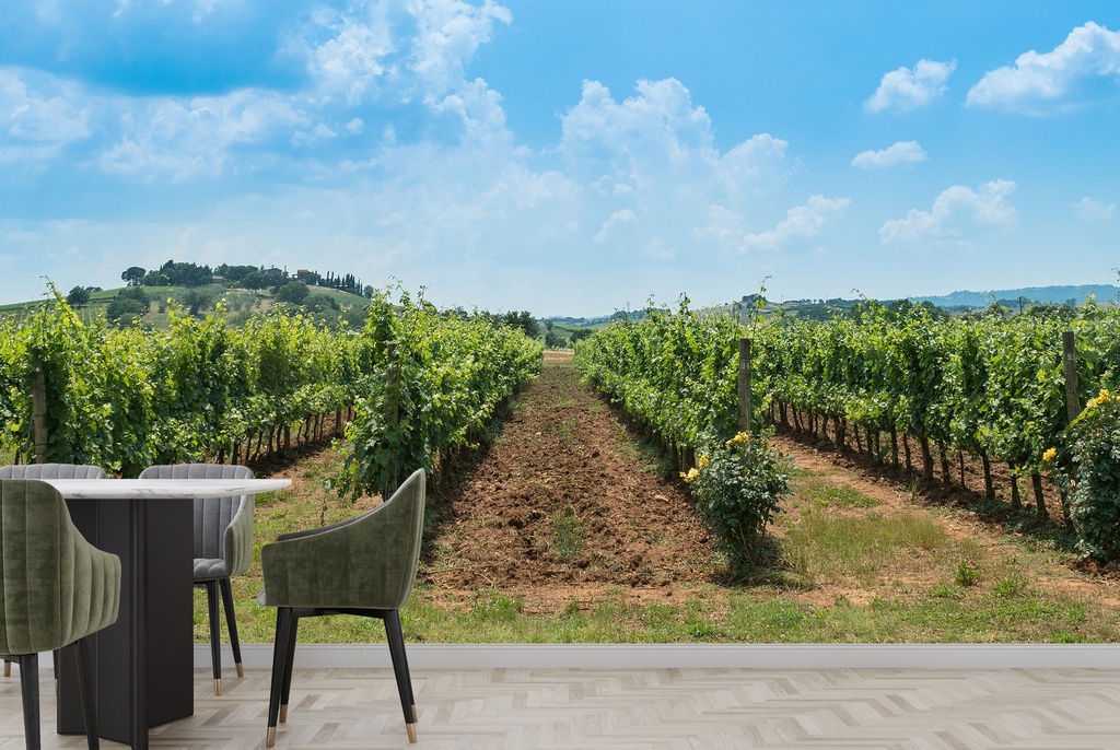 Beautiful Vineyard Panoramic Wall Mural Wallpaper