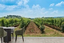 Beautiful Vineyard Panoramic Wall Mural Wallpaper