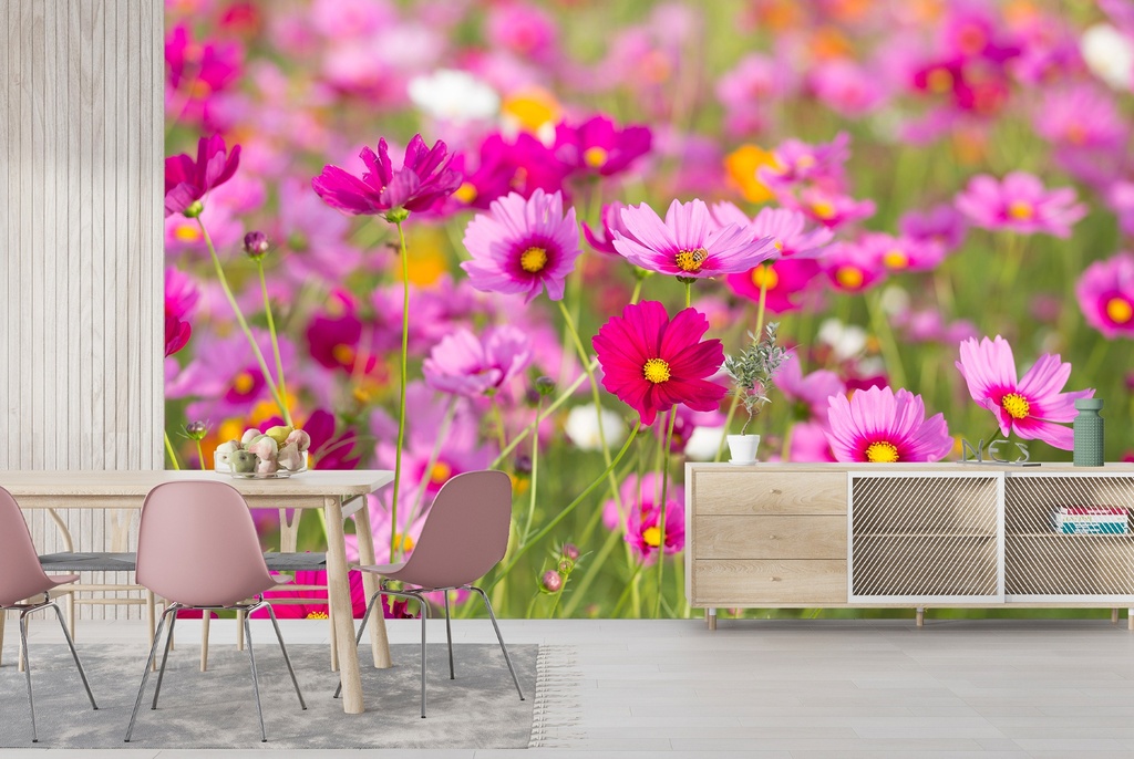 Pink Daisy Flowers Wall Mural Wallpaper
