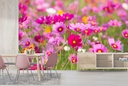 Pink Daisy Flowers Wall Mural Wallpaper