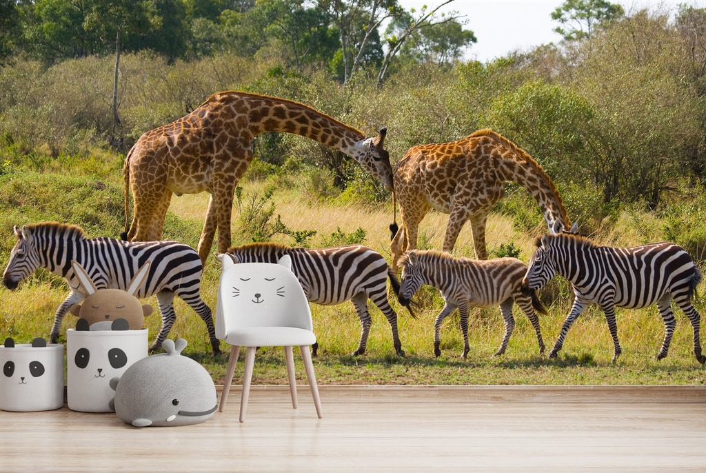 Zebras & Giraffes Safari Wall Mural Wallpaper