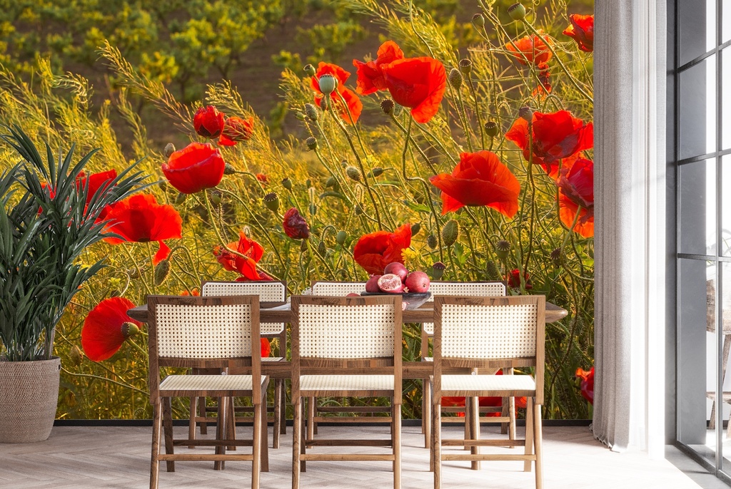 Red Poppy Flower Meadow Wall Mural Wallpaper