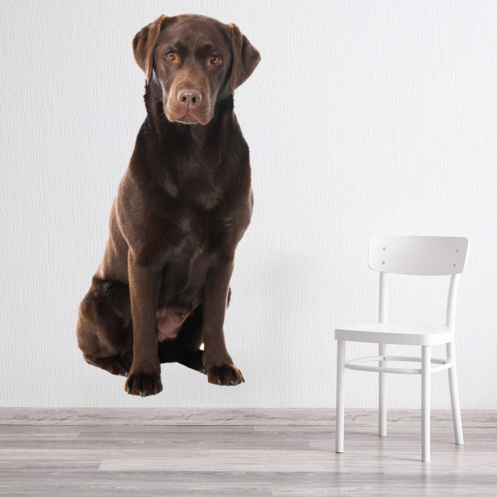 Chocolate Labrador Dog Wall Sticker