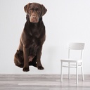 Chocolate Labrador Dog Wall Sticker