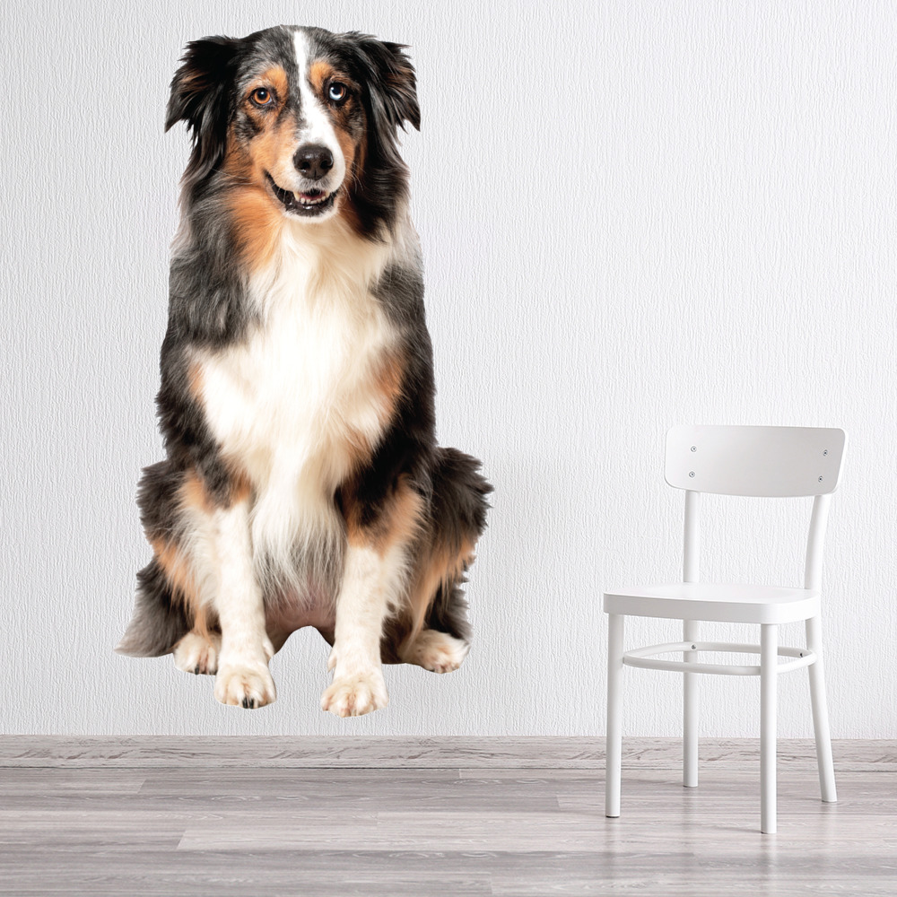 Collie Dog Wall Sticker