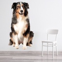 Collie Dog Wall Sticker