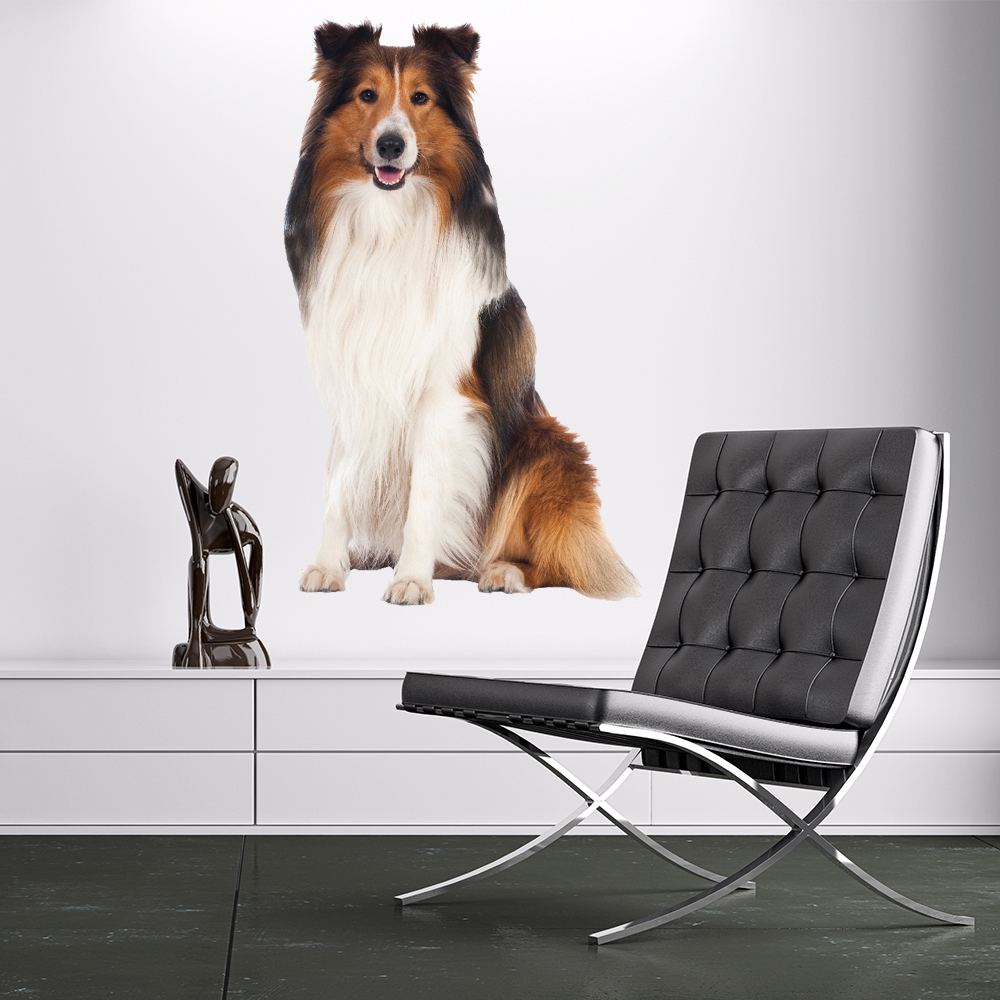 Collie Dog Pet Wall Sticker